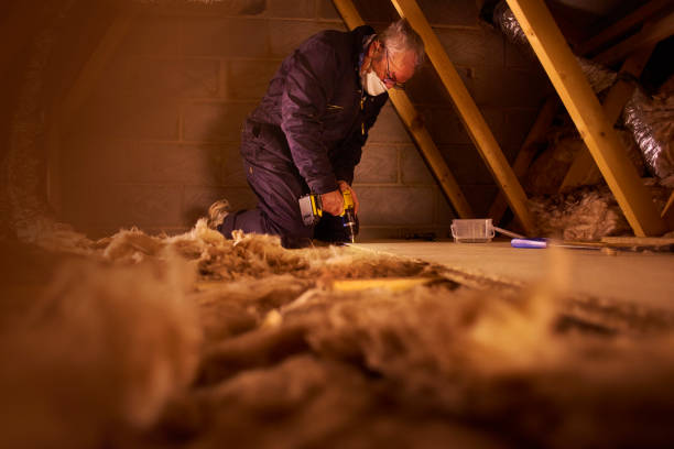 Best Commercial Insulation Services  in Brownsville, KY